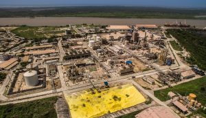 Empresa colombiana utilizará energía eólica marina para producir fertilizantes agrícolas