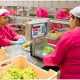 "El reto es hacer labores que antes no hacíamos, y hacerlas bien"