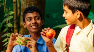 Los factores que impulsan a la manzana chilena en el mercado indio