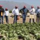BASF presenta nuevas soluciones para cultivos de hortalizas en exitoso día de campo