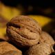 Producción de nueces de California alcanzaría 670.000 toneladas en la temporada 2021/2022