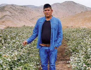 Garantizando mejores precios, ahorro en costos y mayor productividad