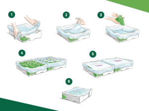 I+D para la mejor llegada de la uva de mesa a los mercados