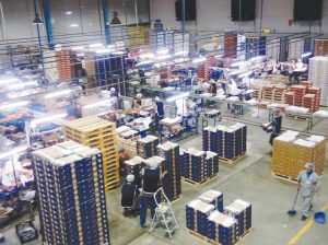 “Muchas empresas van a tener que construir su propio packing”