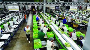Competitividad, eficiencia y diversificación