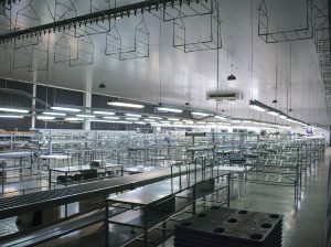 Adaptándose a la nueva realidad productiva