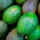 La palta se convertirá en la fruta más comercializada en el año 2030