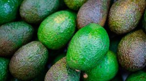 El aguacate se convertirá en la fruta más comercializada en el año 2030