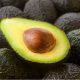 Colombia: el mayor exportador de aguacate Hass aumentó más de 60% sus ventas al exterior