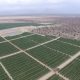 Proyecto Olmos en el norte de Perú ya supera las 23,300 hectáreas cultivadas