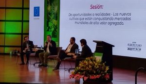 Aguacate, arándanos y cannabis: retos de estos tres cultivos que se abren paso en Colombia