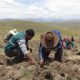 Productores de papa aprenden a aplicar buenas prácticas