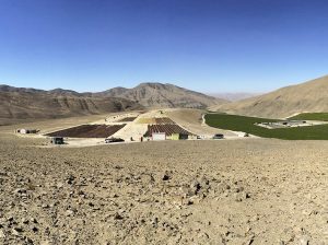El nuevo escenario de la industria de las pasas