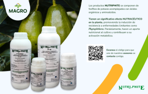 Fosfitos:  excelente alternativa para prevenir y controlar enfermedades fungosas