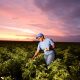 PepsiCo revela los objetivos de su estrategia de Agricultura Positiva