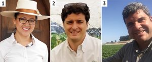 Agrícola Llahuén promueve el buen manejo de un cultivo y negocio que empieza a crecer
