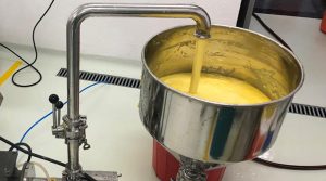 Piña en polvo, alternativa para disminuir desperdicios y aprovechar nutrientes