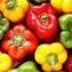 Pimiento: desarrollan variedad resistente a nematodos de nudo de raíz en EEUU