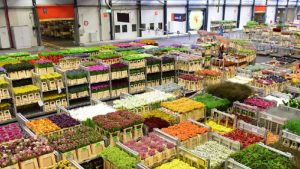 Sector ornamental recibió 600 millones de euros del gobierno holandés