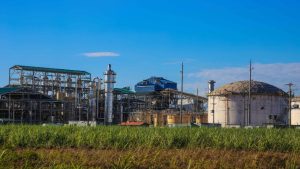 El 25% del etanol de Colombia podría ser producido por Bioenergy
