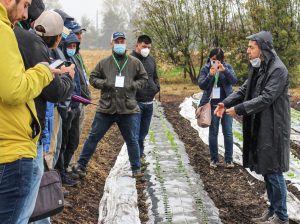 El plástico convertido en un instrumento de precisión