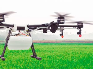 La tecnología se abre paso en el cultivo de arroz