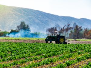 Alternativas para agricultura orgánica