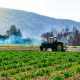 Alternativas para agricultura orgánica