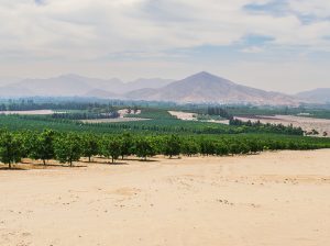 Cuando el negocio está en la exportación