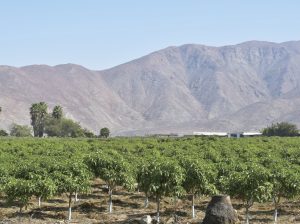 Triunfos, derrotas y oportunidades en Casma