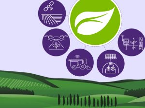 Cinco pilares claves en la agricultura de la nueva década