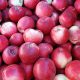 Chile busca desarrollar manzanas más dulces para apuntar al mercado chino