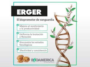 ERGER, el biopromotor de brotación
