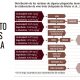 Procesamiento de productos agrícolas y la presencia de residuos de plaguicidas