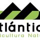El rol del calcio en la calidad de las hortalizas
