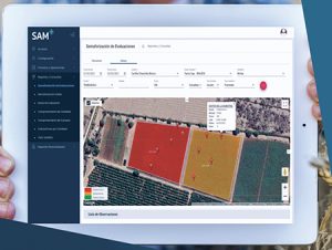 La positiva alianza productiva entre Bayer y agroexportadores del norte de Perú en el control del chanchito blanco en uva de mesa