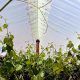 Cubiertas inteligentes clave para el control de la temperatura y humedad