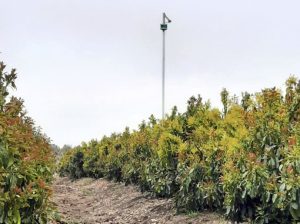 Automatización y contabilidad del agua para competir a nivel mundial