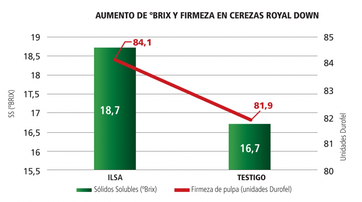 Investigación revela riesgos y aportes de los fertilizantes en la presencia de cadmio en los cultivos de cacao – Redagrícola