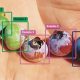 Inteligencia Artificial para obtener proyecciones de cosecha de arándanos más precisas