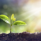Quimetal crece en dos líneas de negocios: Fitosanitarios y Nutrición Vegetal