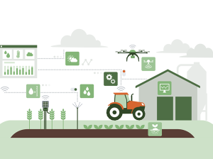 La revolución de los datos en la agricultura de precisión: aplicaciones en cultivos de vid