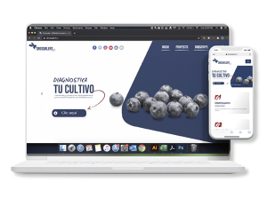 Drosoalert, nueva plataforma en línea para combatir Drosophila suzukii
