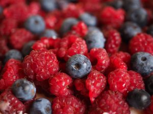 Buscan potenciar la oferta varietal de berries en una región chilena