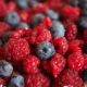 Buscan potenciar la oferta varietal de berries en una región chilena