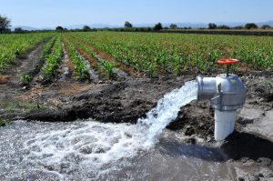 Una adecuada gestión del agua es fundamental para garantizar la seguridad alimentaria