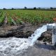 Una adecuada gestión del agua es fundamental para garantizar la seguridad alimentaria