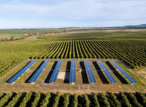 Los beneficios del riego fotovoltaico autónomo de alta potencia