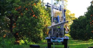 Robot cosechador de fruta, alternativa ante la escasez de trabajadores