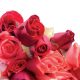 Exportaciones de flores en San Valentín habrían alcanzado los 700 millones de tallos